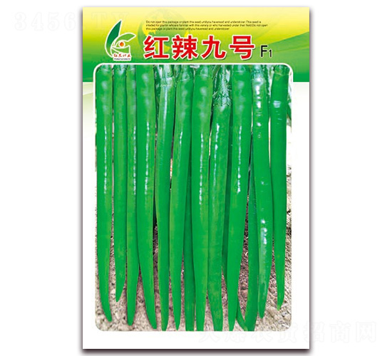 紅辣九號(hào)-線椒種子-紅發(fā)種業(yè)