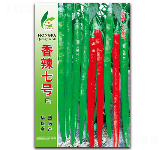 香辣七號(hào)-線椒種子-紅發(fā)種業(yè)