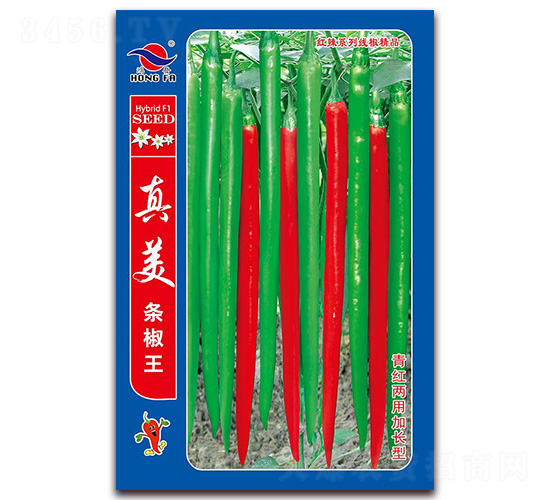 真美條椒王-線椒種子-紅發(fā)種業(yè)