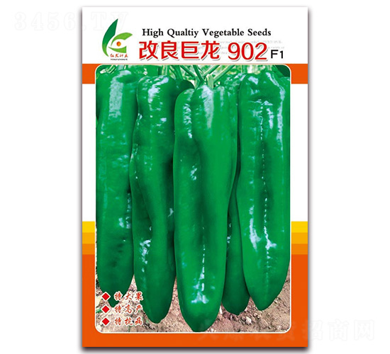 改良巨龍902-厚皮泡椒種子-紅發(fā)種業(yè)