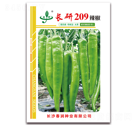 長研209-辣椒種子-春潤種業(yè)