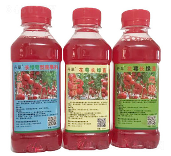 花萼長綠直-農(nóng)伯樂