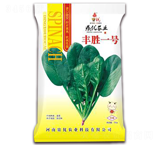 豐勝一號-菠菜種子-鼎優(yōu)農業(yè)