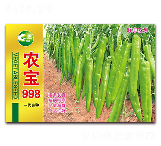農(nóng)寶998-尖椒種子-聯(lián)豐種業(yè)