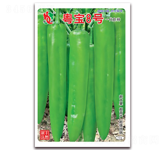 粵寶8號-尖椒種子-聯(lián)豐種業(yè)
