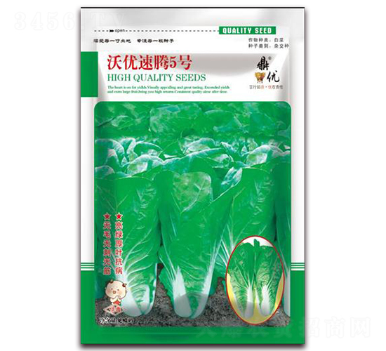 速騰5號-葉菜種子-鼎優(yōu)農(nóng)業(yè)