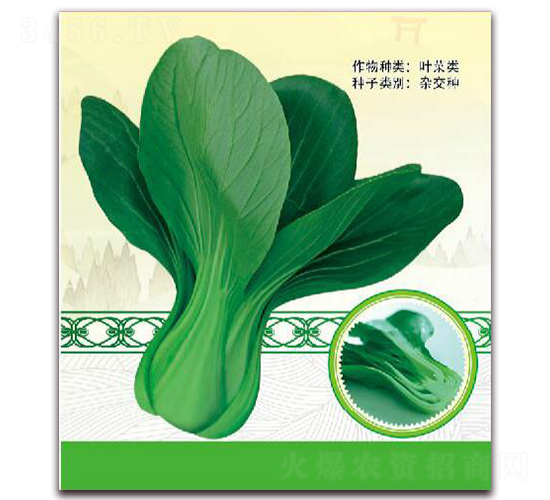 熱綠二號(hào)-葉菜種子-鼎優(yōu)農(nóng)業(yè)