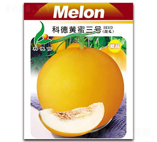 科德黃蜜三號-甜瓜種子-科德信