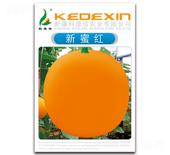 科德信新蜜紅-甜瓜種子