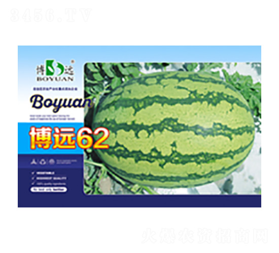 博遠62-昌農種業(yè)