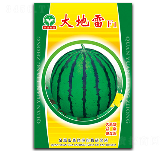 大地雷-西瓜種子-泉源