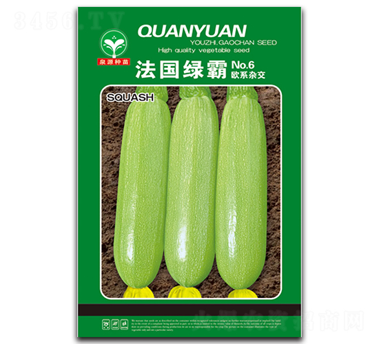 法國(guó)綠霸-西葫蘆種子-泉源