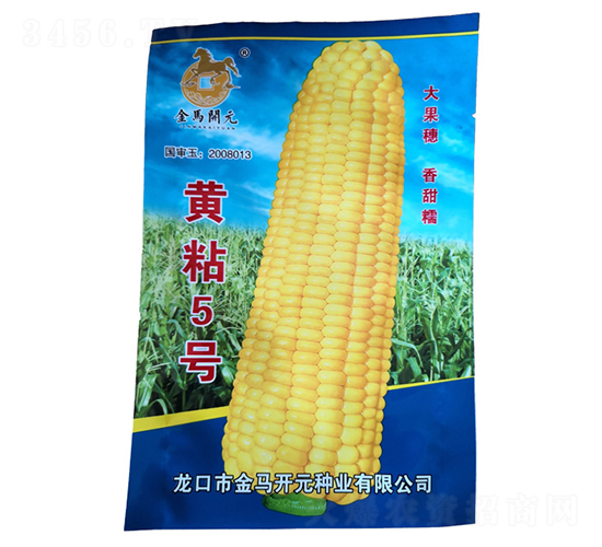黃粘5號(hào)-玉米種子-金馬開(kāi)元
