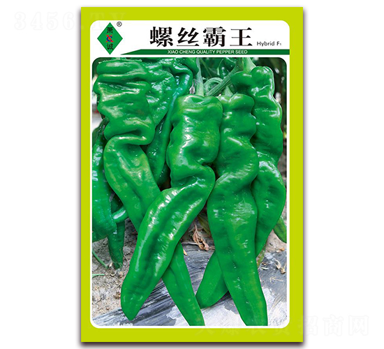 螺絲霸王-泡椒種子-蕭誠