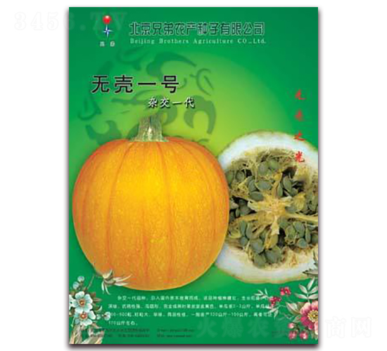 無(wú)殼一號(hào)-南瓜種子-兄弟