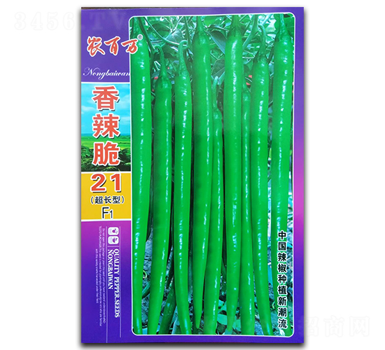 香辣脆21號(hào)-線椒種子-農(nóng)百萬
