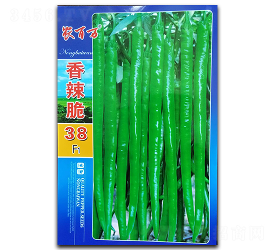 香辣脆38號(hào)-線椒種子-農(nóng)百萬(wàn)