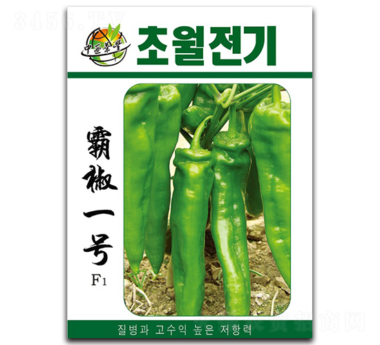 霸椒一號-辣椒種子-華豐種業(yè)