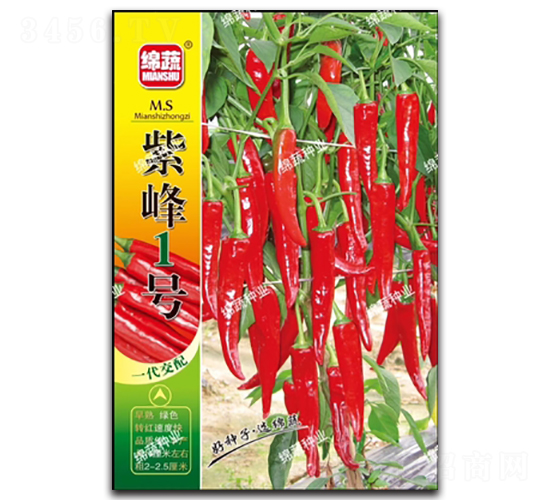 紫峰一號-尖椒種子-綿蔬種業(yè)