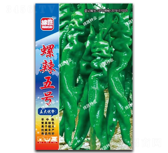 螺辣五號(hào)-螺絲椒種子-綿蔬種業(yè)