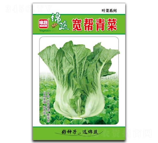 寬邦青菜-青菜種子-綿蔬種業(yè)