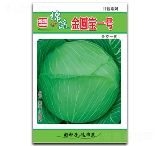 金圓寶一號-包菜種子-綿蔬種業(yè)