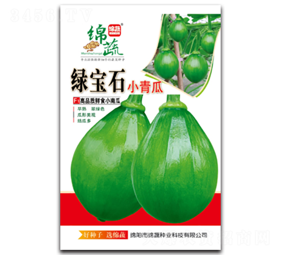 綠寶石-南瓜種子-綿蔬種業(yè)