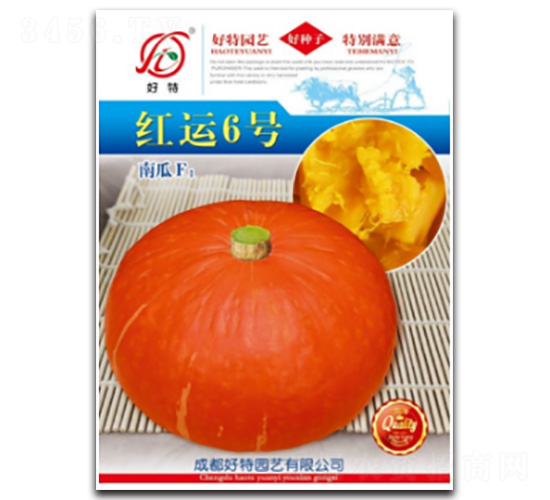 紅運6號-南瓜種子-好特園藝