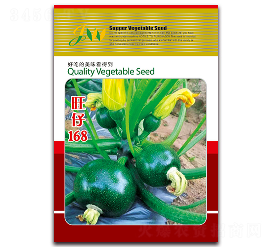 旺仔168-西葫蘆種子-營(yíng)口君旺