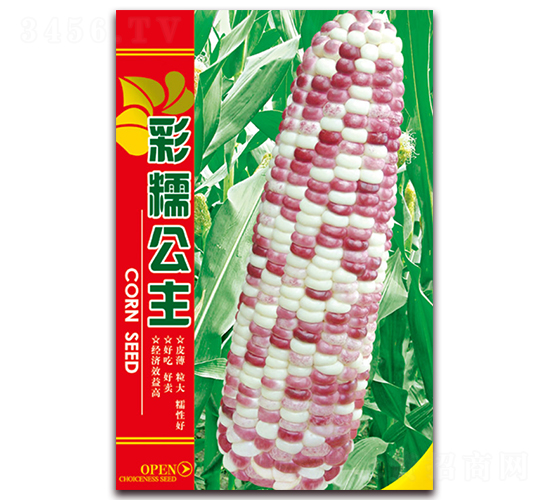 彩糯公主-糯玉米種子-天星種業(yè)