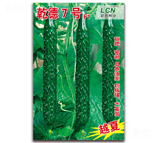 乾德7號(hào)-黃瓜種子-乾德種業(yè)