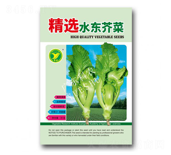 水東芥菜-芥菜種子-科農(nóng)