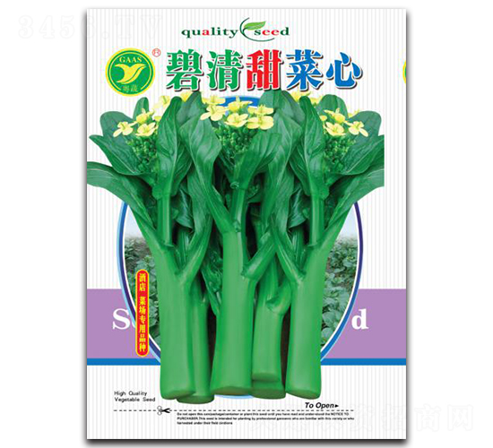 碧清甜-菜心種子-科農(nóng)