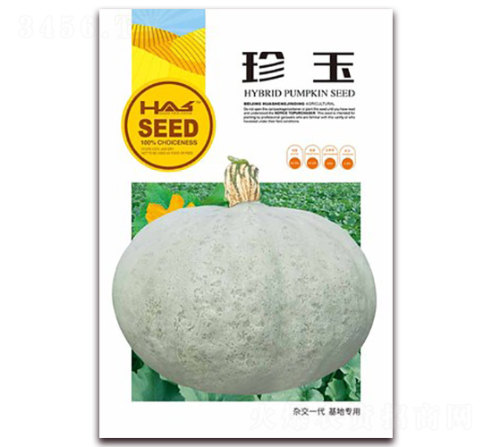 珍玉-南瓜種子-鑫博大