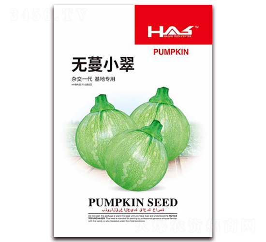 無(wú)蔓小翠-南瓜種子-鑫博大