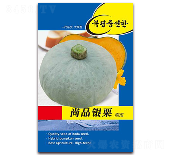 尚品銀栗-南瓜種子-鑫博大