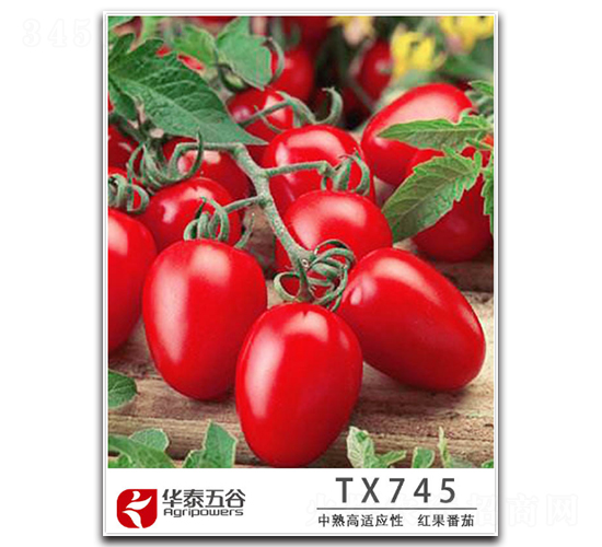 TM745-番茄種子-華泰五谷