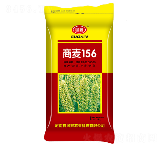 15kg商麥156-小麥種子-豫神農(nóng)業(yè)