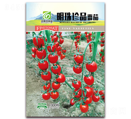 明珠珍品-番茄種子-百斯特