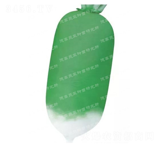 馬可博蘿-黃綠皮蘿卜種子-德高