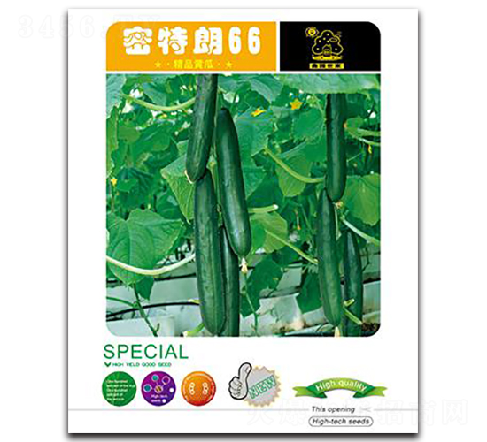 密特朗66-黃瓜種子-鑫園世家