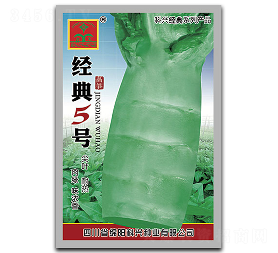 經(jīng)典五號-萵筍種子-科興種業(yè)