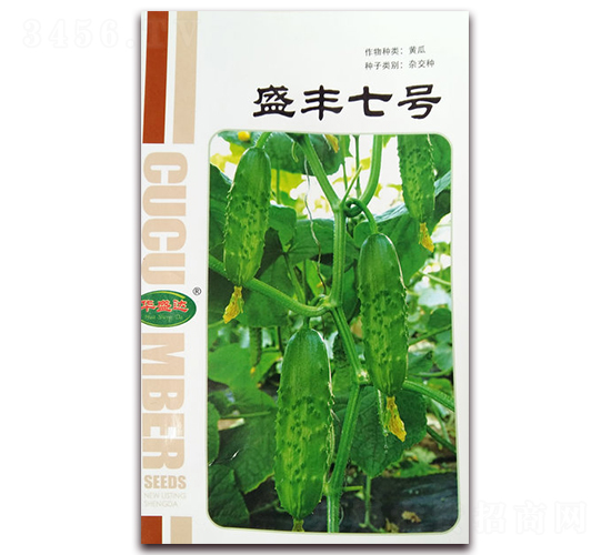 盛豐七號-黃瓜雜交種-華盛達(dá)