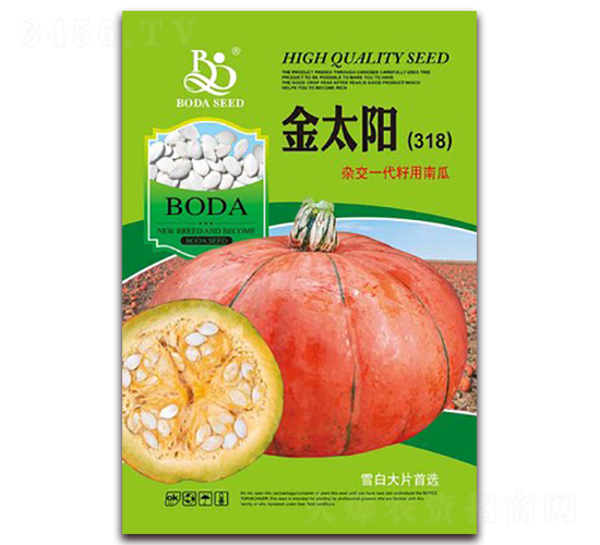金太陽-打籽南瓜種子-鑫博大