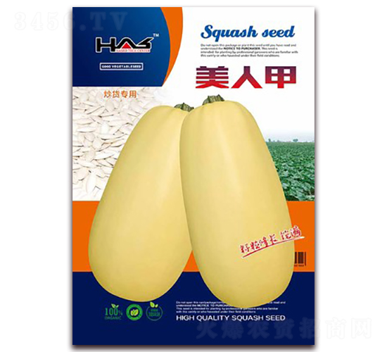 美人甲-打籽西葫蘆種子-鑫博大
