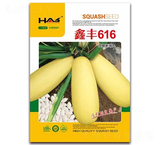 鑫豐616-打籽西葫蘆種子-鑫博大