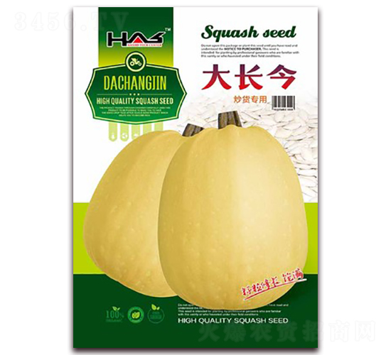 大長今-打籽西葫蘆種子-鑫博大