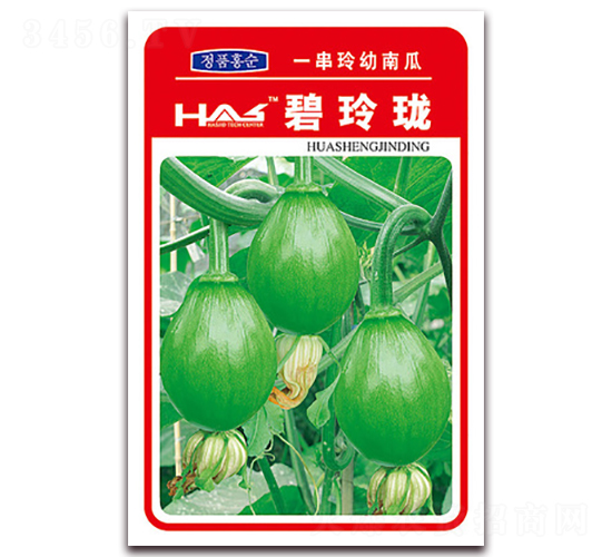 碧玲瓏-南瓜種子-鑫博大
