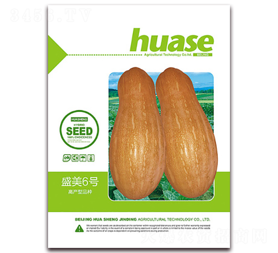 盛美6號(hào)-南瓜種子-鑫博大