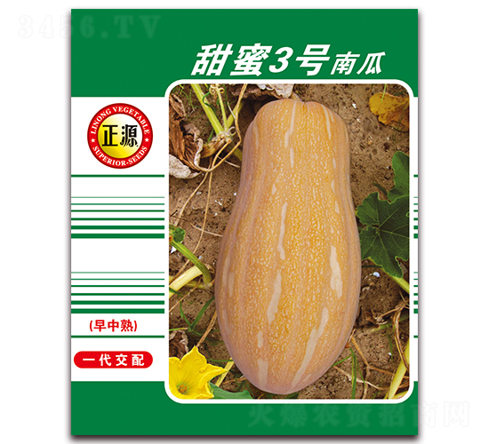 甜蜜3號南瓜（1055）-南瓜種子-和利農(nóng)
